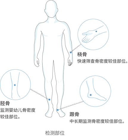 超聲骨密度儀檢測部位